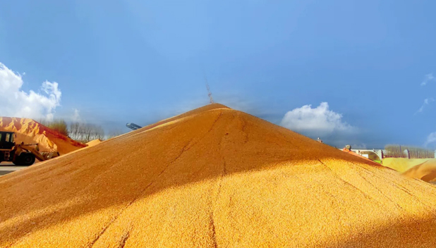 滑縣農(nóng)峰機(jī)械有限公司